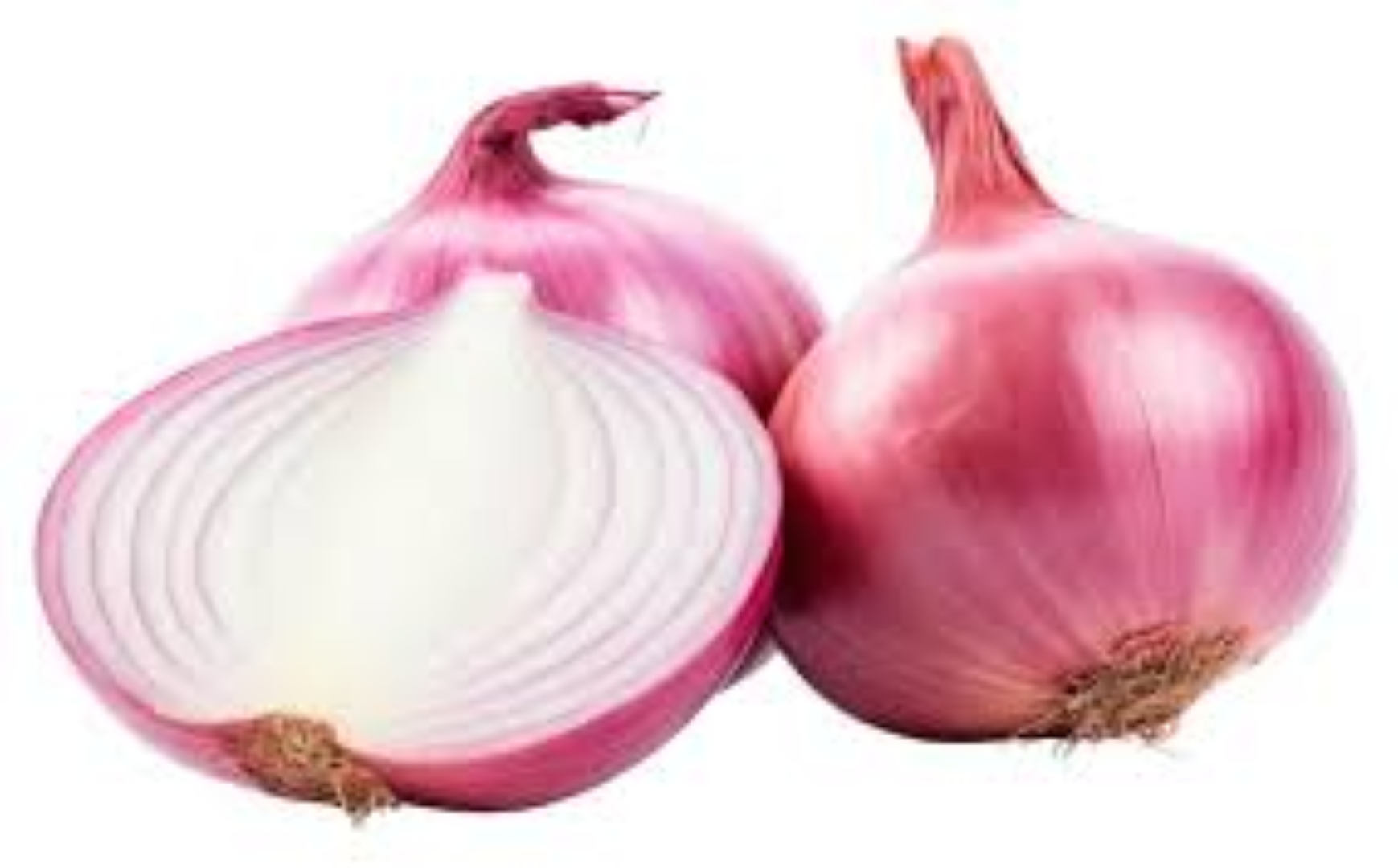 FRESH SHALLOTS